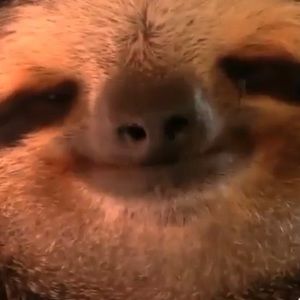 Meet your Posher, Lucas